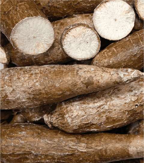 Gluten-Free Superfood: The Health Benefits of Yuca