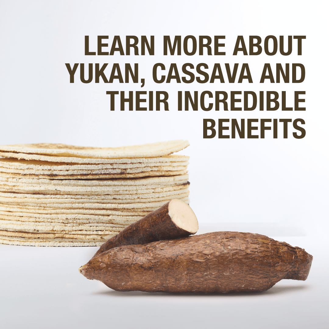 Learn more about Yukan, Cassava and their incredible benefits